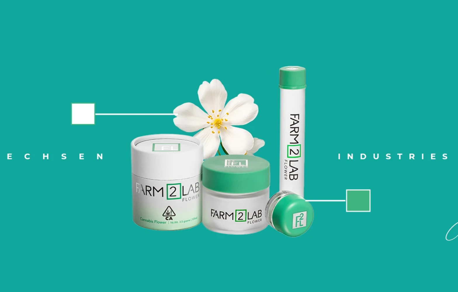 Reliable Packaging for Retail Stability