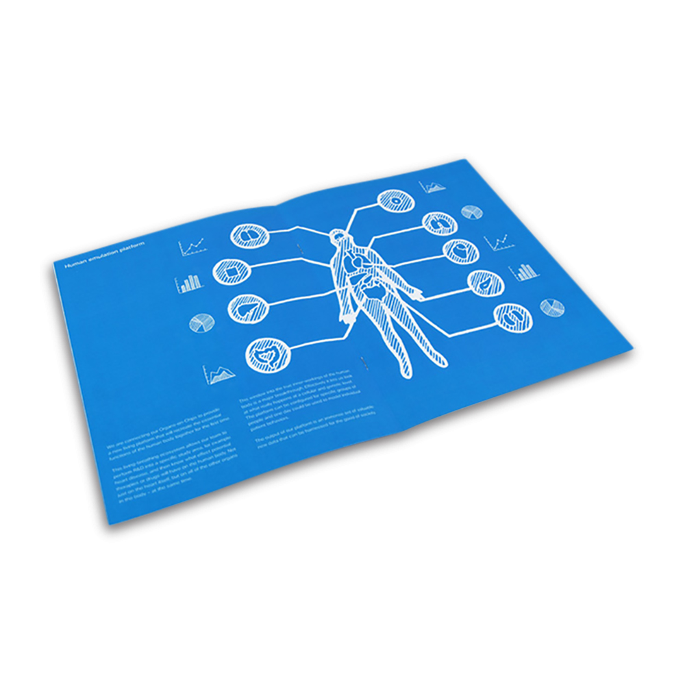 Offset printed Emulate brochure spread with full-bleed blue and clean trimmed edges